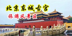 男人用鸡巴桶女人逼30分钟视频中国北京-东城古宫旅游风景区